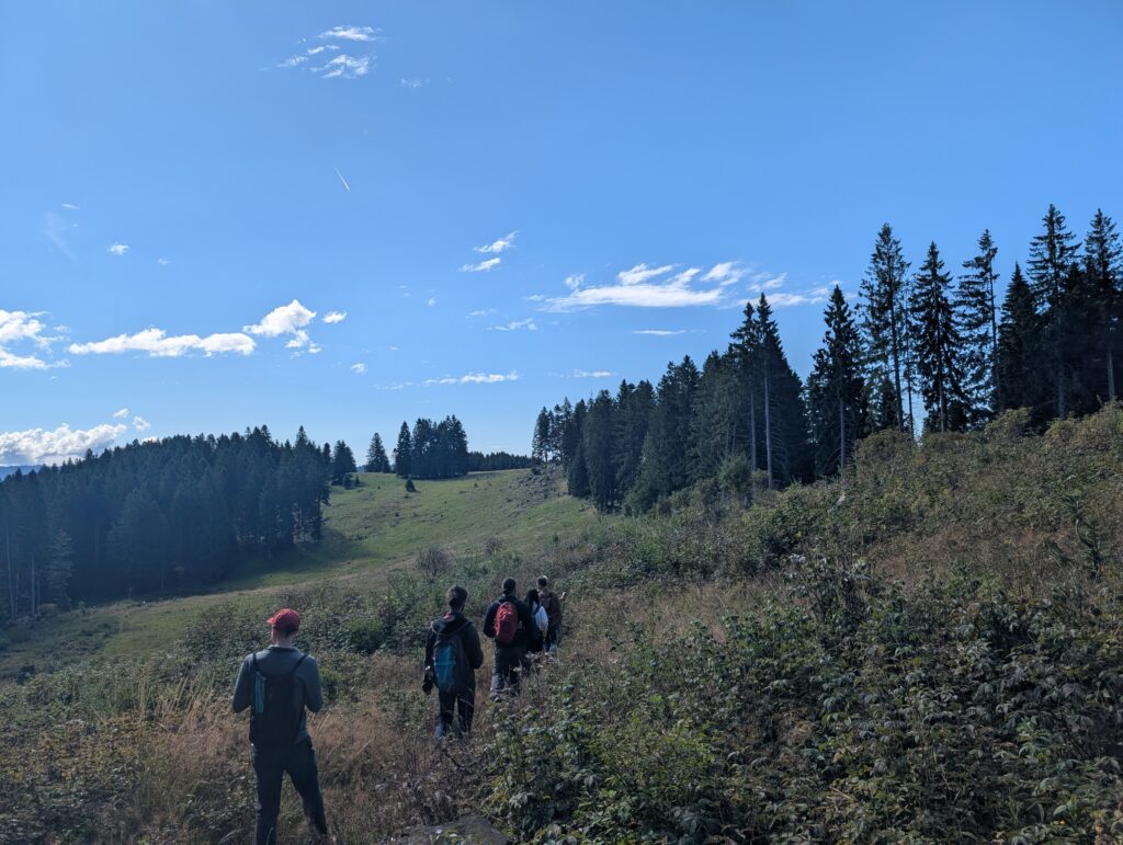 Walking though nature #2